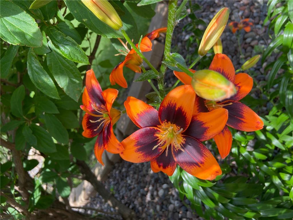 2061 10th Avenue Star Prairie WI 54026 7011183 image51