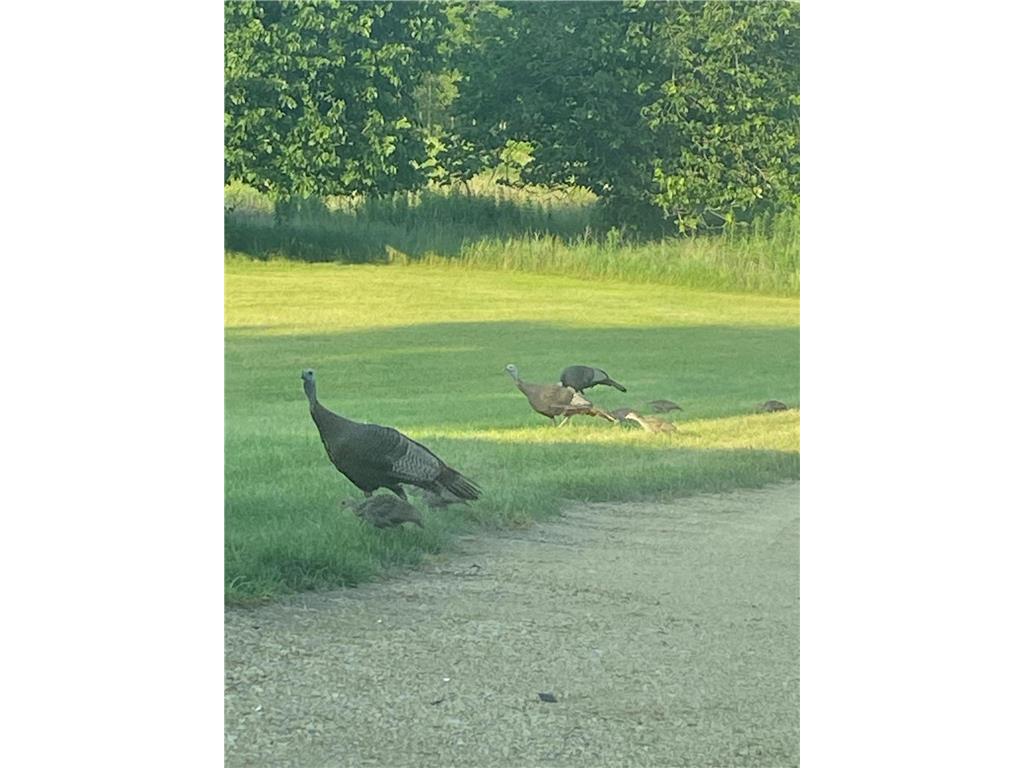 2061 10th Avenue Star Prairie WI 54026 7011183 image55