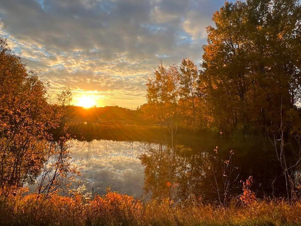 20624 170th Street Park Rapids MN 56470 7103324 image66