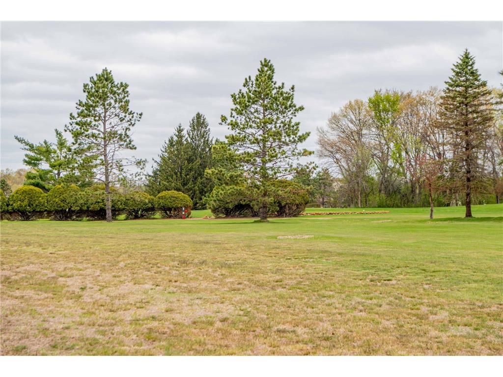 20625 Monroe Street NE East Bethel MN 55011 7014184 image109