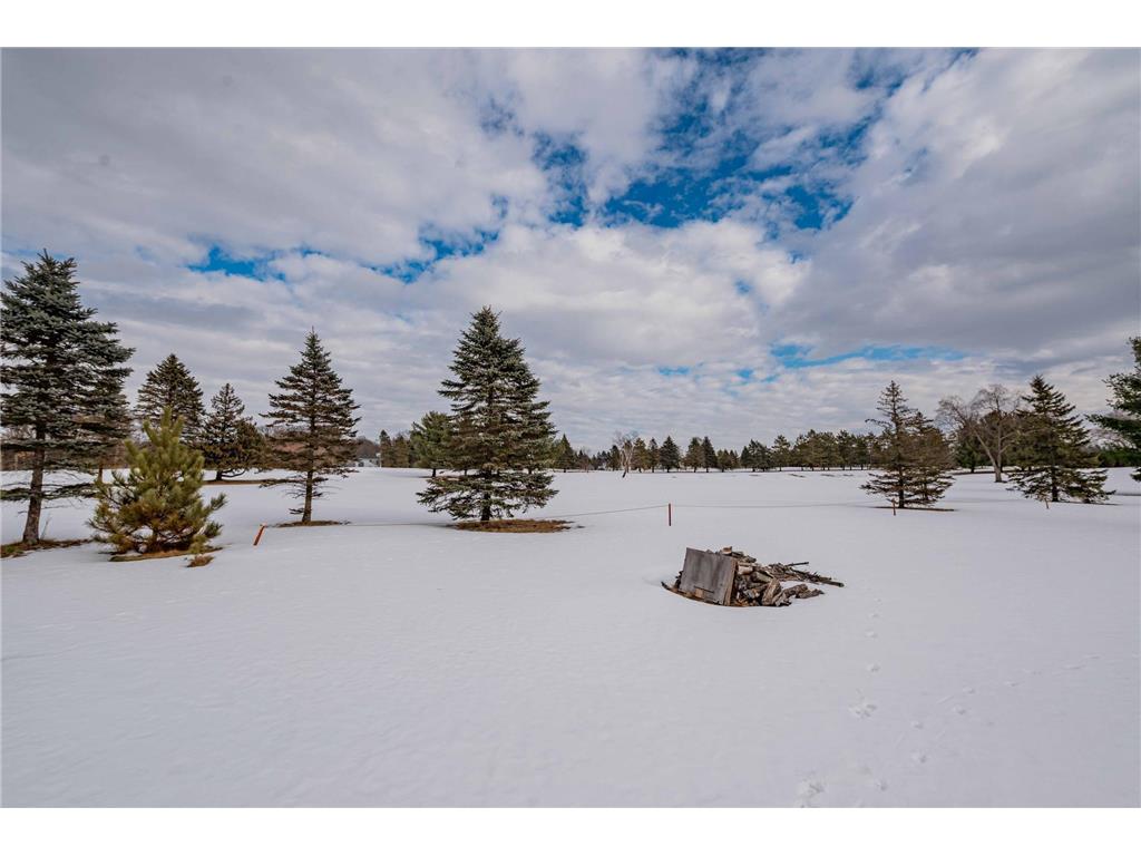 20625 Monroe Street NE East Bethel MN 55011 7014184 image52