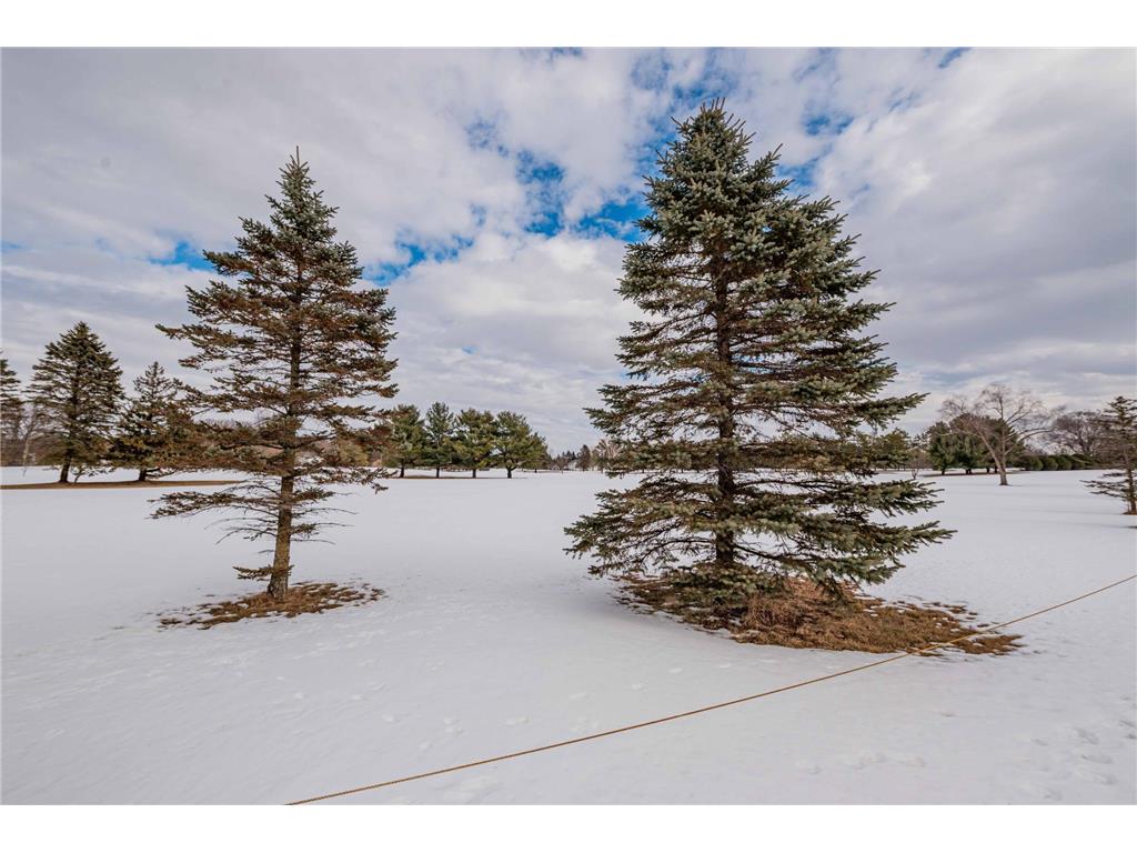 20625 Monroe Street NE East Bethel MN 55011 7014184 image53