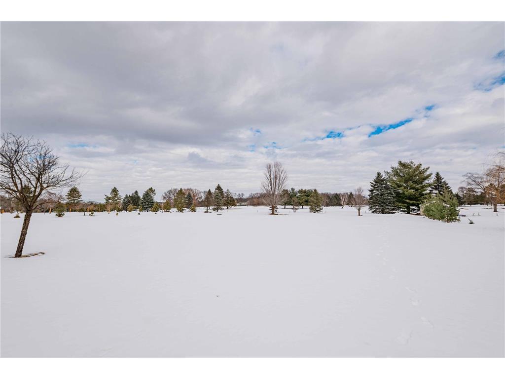 20625 Monroe Street NE East Bethel MN 55011 7014184 image55