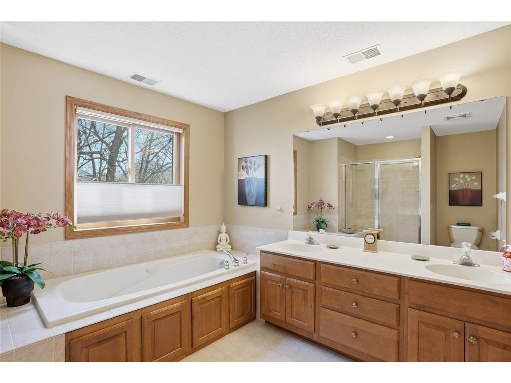 20628 Jura Trail Lakeville MN 55044 7059008 image42