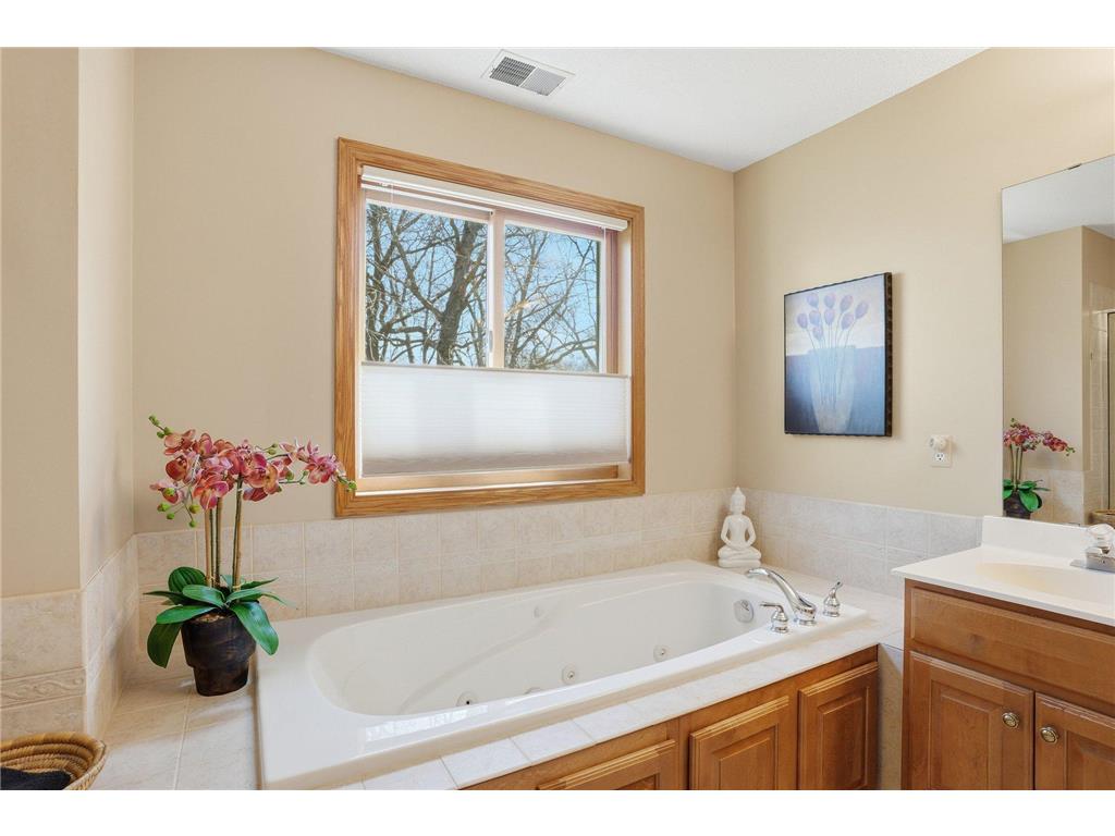 20628 Jura Trail Lakeville MN 55044 7059008 image43
