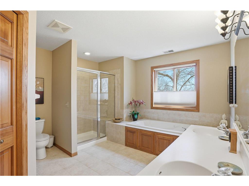 20628 Jura Trail Lakeville MN 55044 7059008 image44