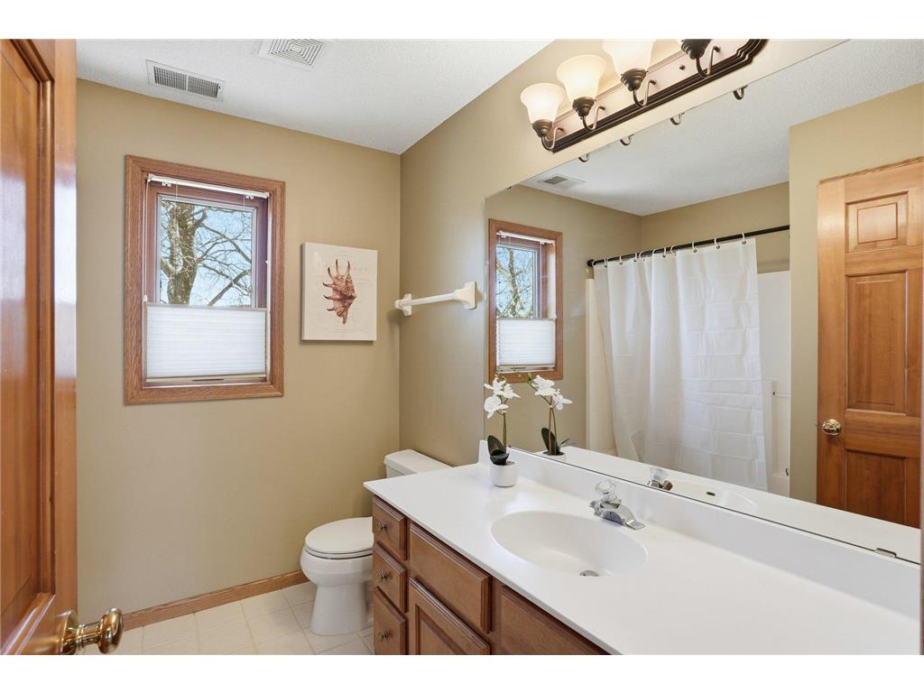 20628 Jura Trail Lakeville MN 55044 7059008 image47