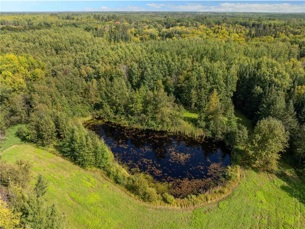 20634 County Road 530 Balsam Twp MN 55709 - Prairie River 7070762 image17