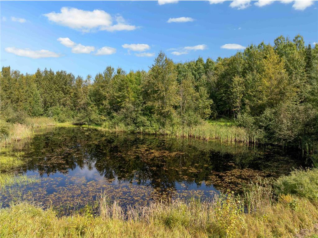 20634 County Road 530 Balsam Twp MN 55709 - Prairie River 7070762 image8