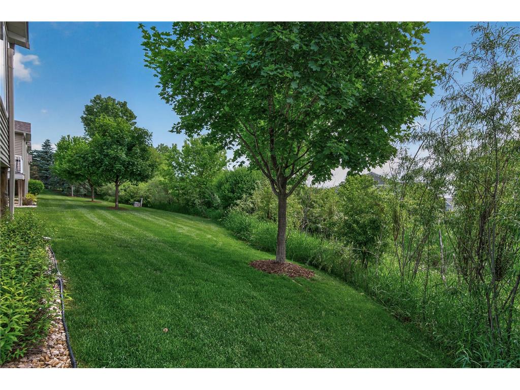 20639 Everton Court N Forest Lake MN 55025 7081133 image34