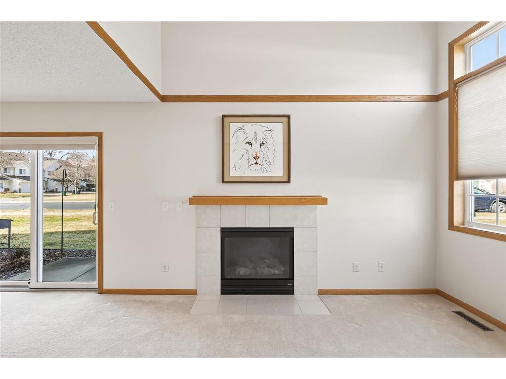 20647 Brennan Path Farmington MN 55024 7047695 image7