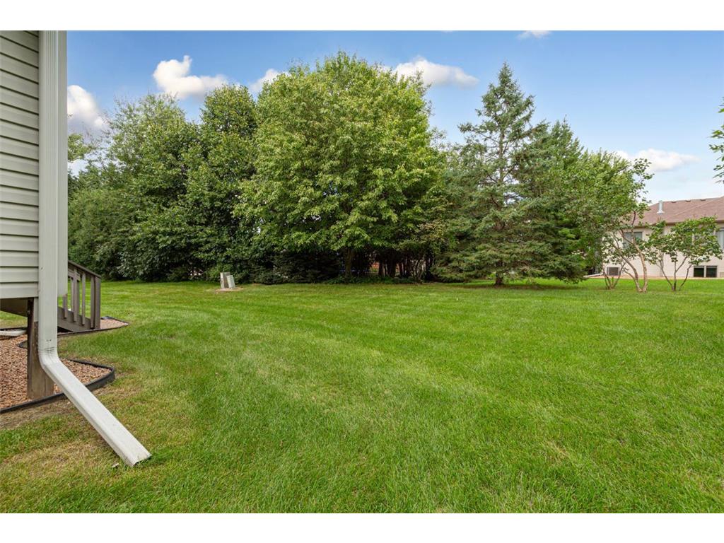 2065 Raspberry Ridge Place NE Owatonna MN 55060 6777756 image41