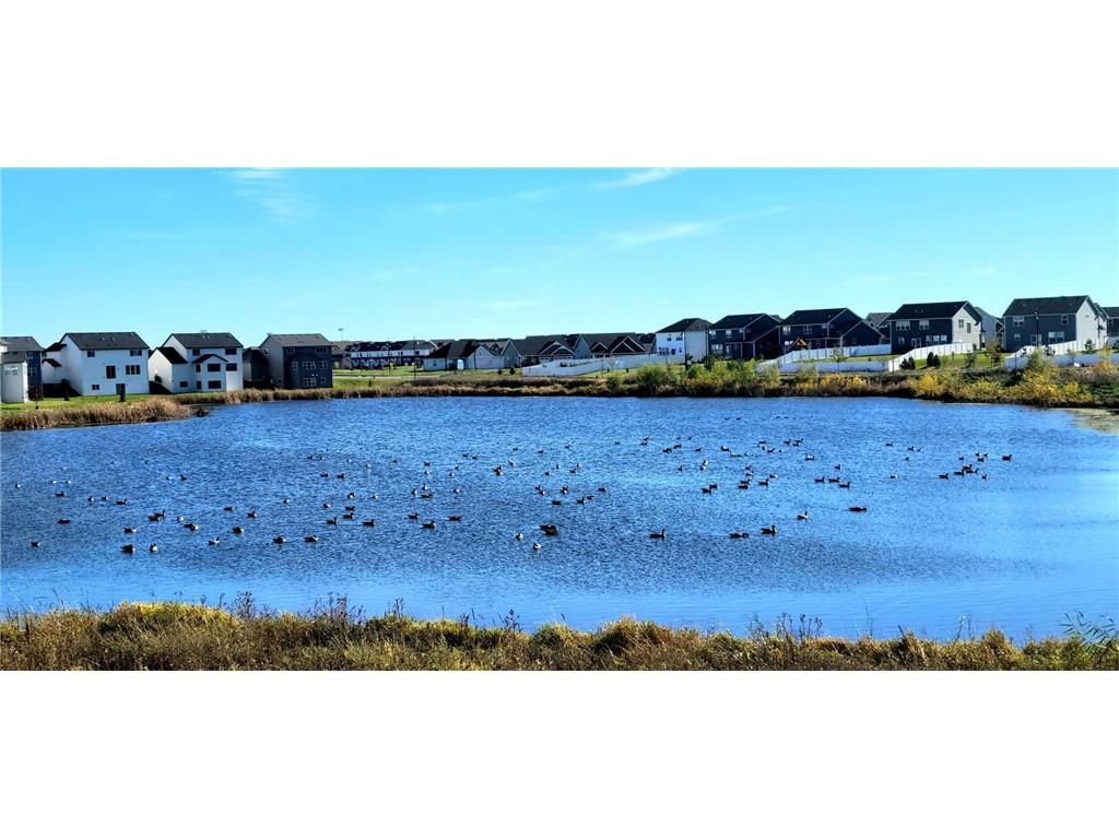 2065 Tamarack Road Carver MN 55315 6826822 image52