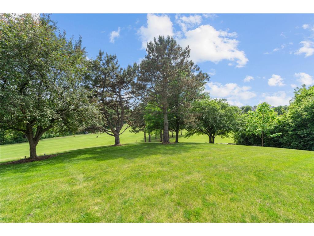 2065 Woodstone Court Victoria MN 55386 7088491 image67