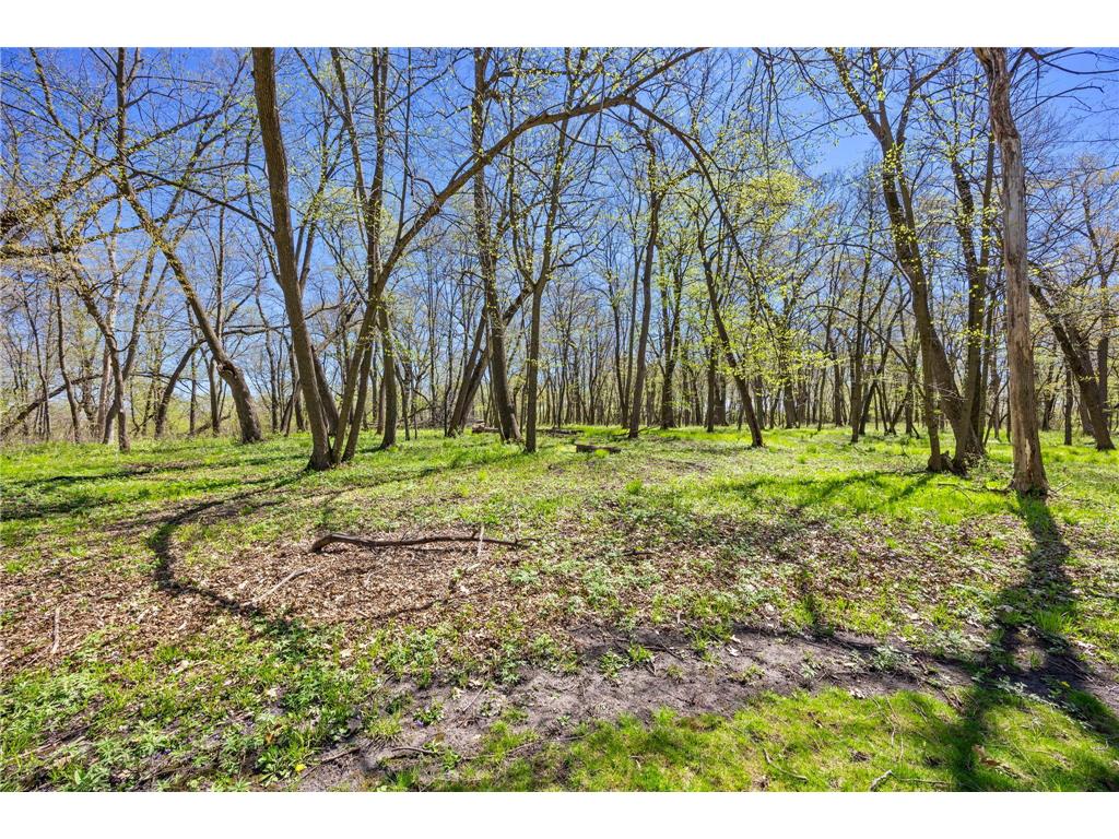 20658 Belle Lake Road Hutchinson MN 55350 7002206 image126