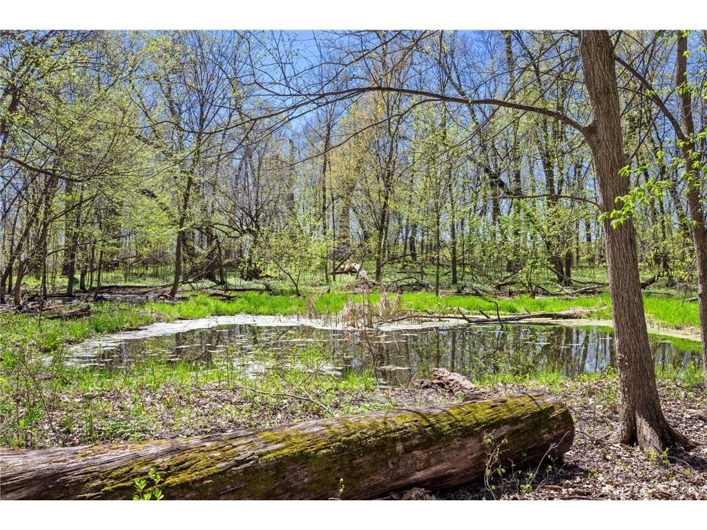 20658 Belle Lake Road Hutchinson MN 55350 7002206 image128