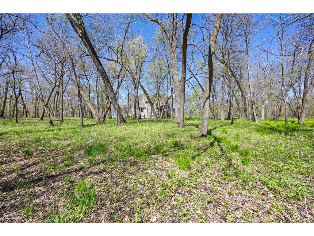 20658 Belle Lake Road Hutchinson MN 55350 7002206 image129