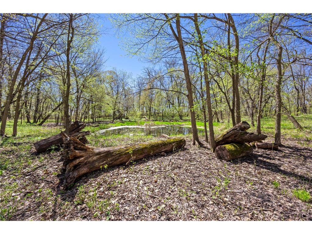 20658 Belle Lake Road Hutchinson MN 55350 7002206 image130