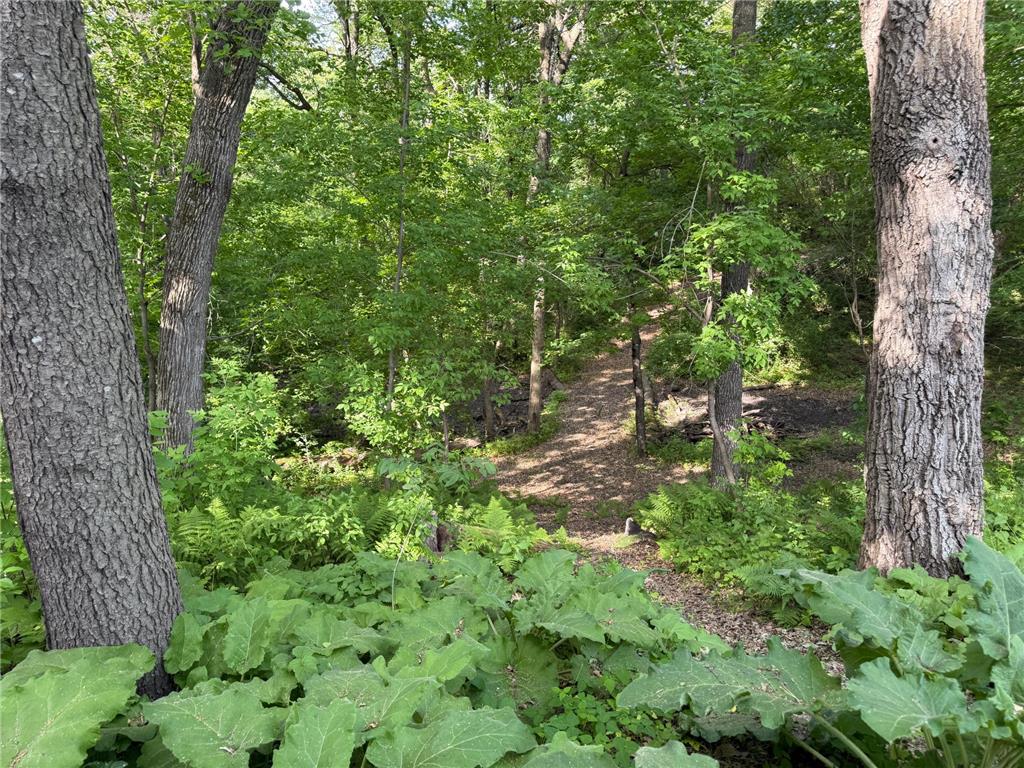 20663 Ulysses Street NW Elk River MN 55330 7077282 image10