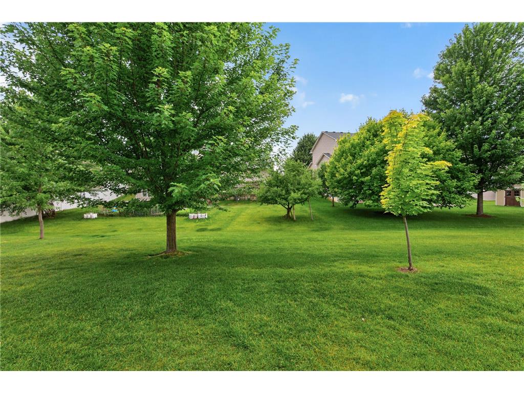 20685 Frost Court Lakeville MN 55044 7100381 image29