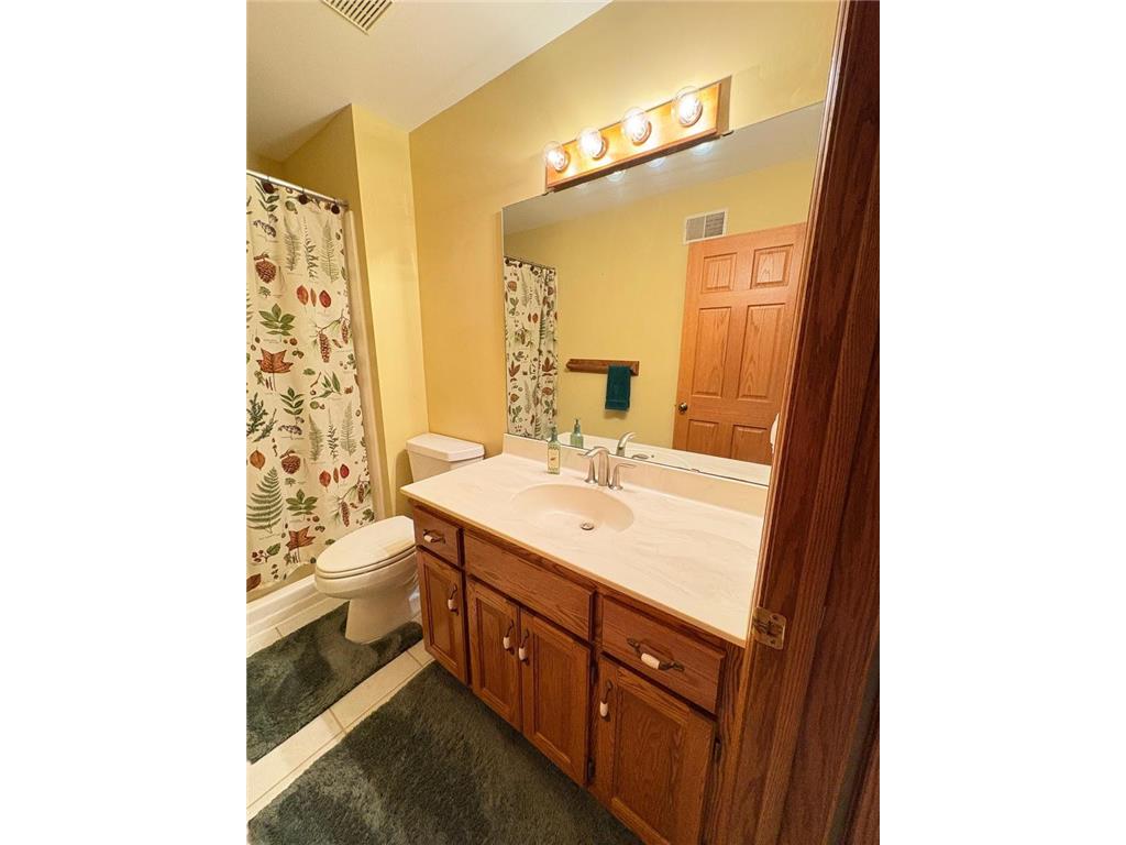 20687 212th Avenue NW Big Lake Twp MN 55309 - Wood 7071001 image32