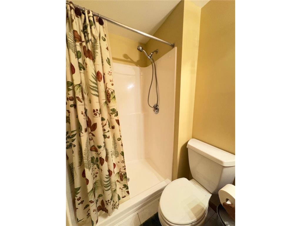 20687 212th Avenue NW Big Lake Twp MN 55309 - Wood 7071001 image33