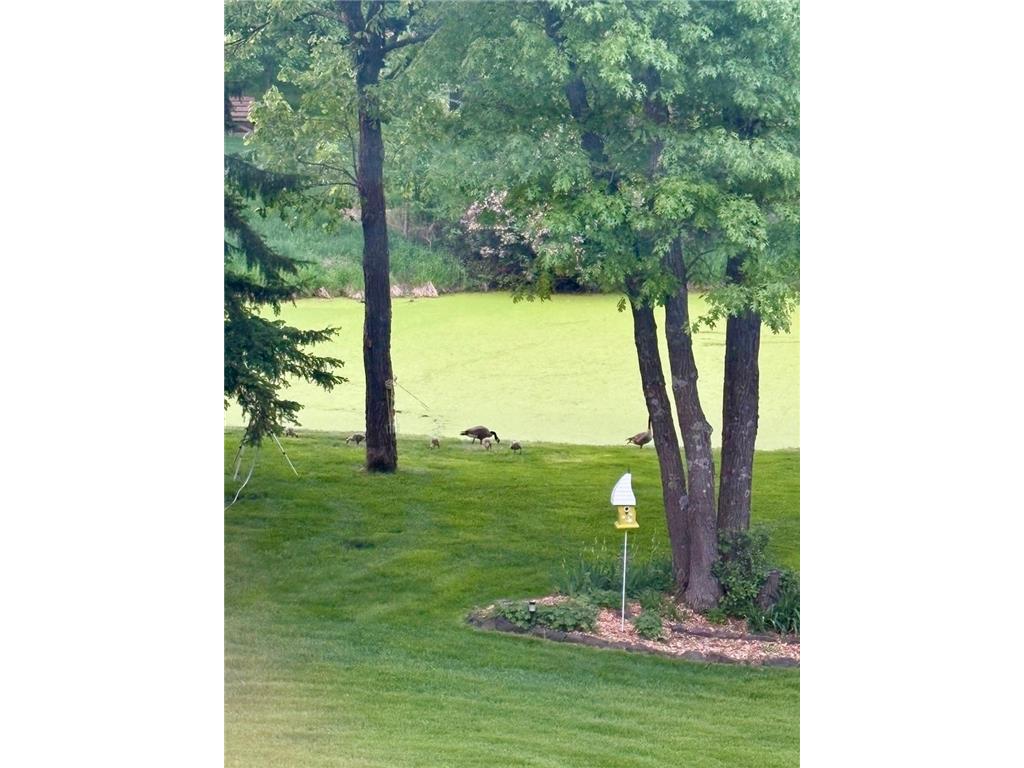 20687 212th Avenue NW Big Lake Twp MN 55309 - Wood 7071001 image56