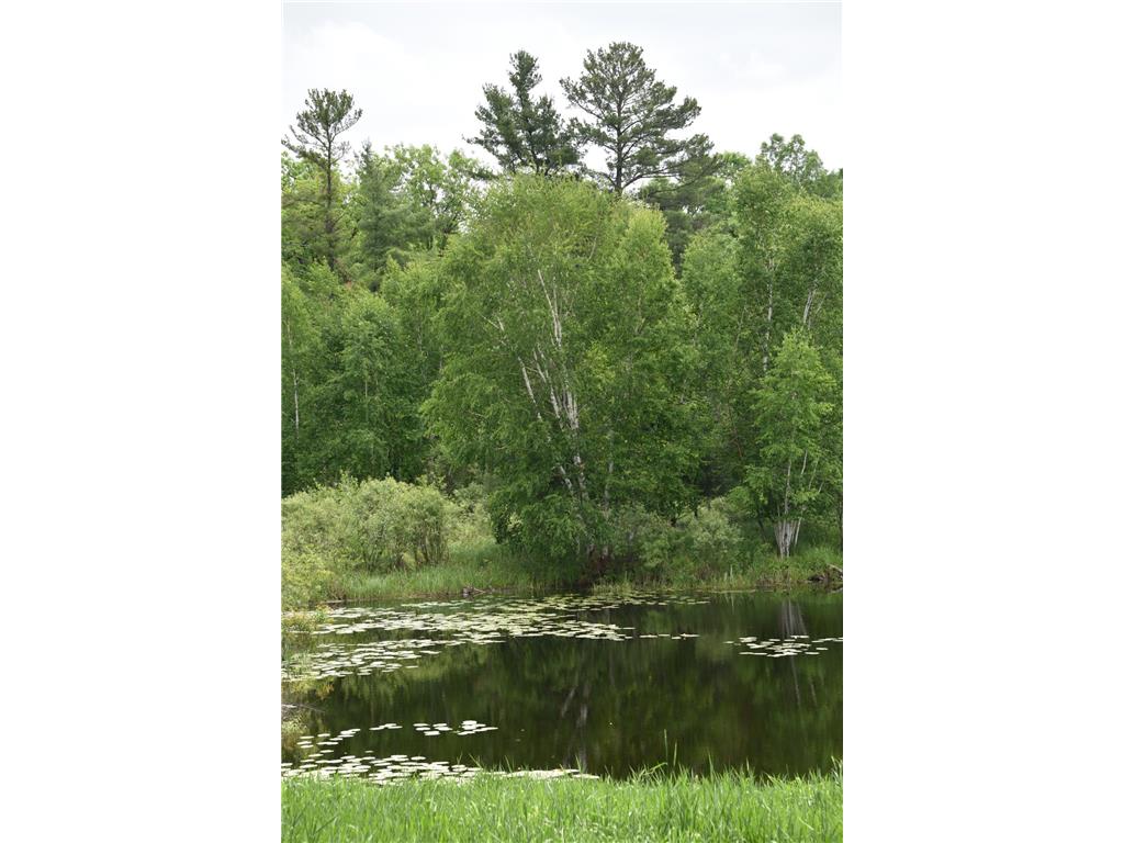 20692 Keystone Road Milaca MN 56353 7084595 image60