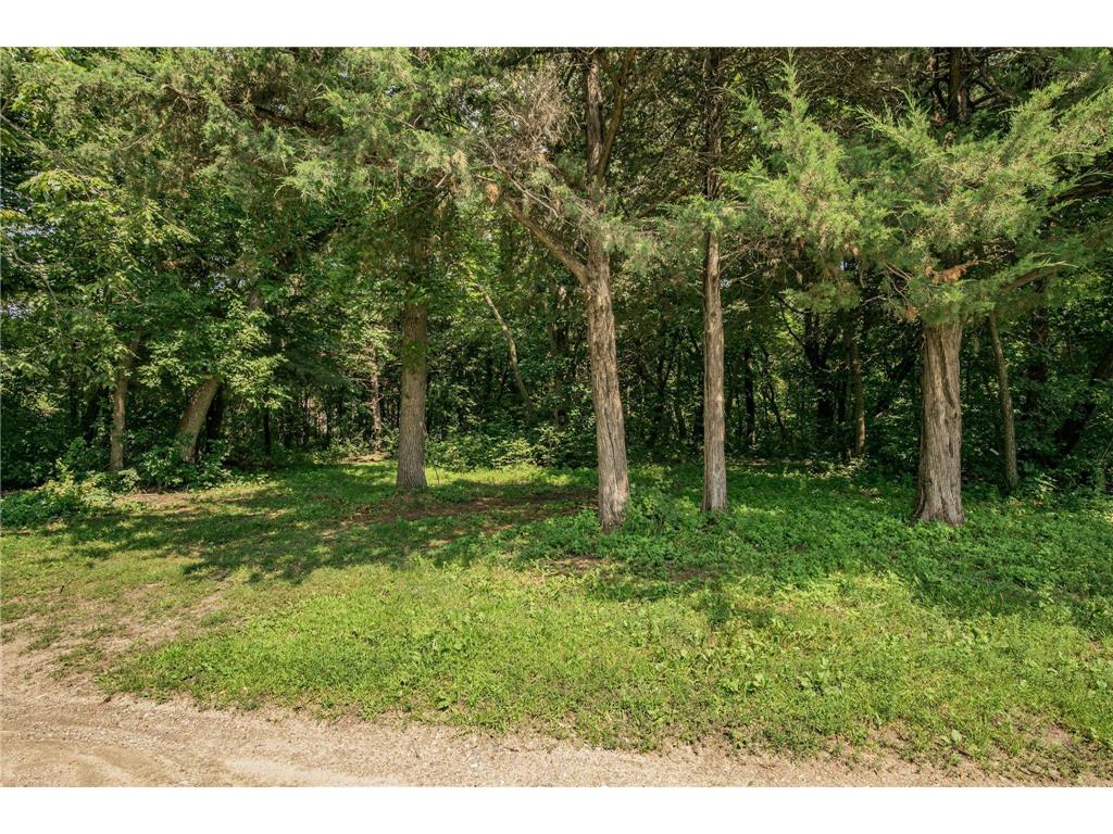 20695 Langevin Drive Richmond MN 56368 - Cedar Island 6762274 image32