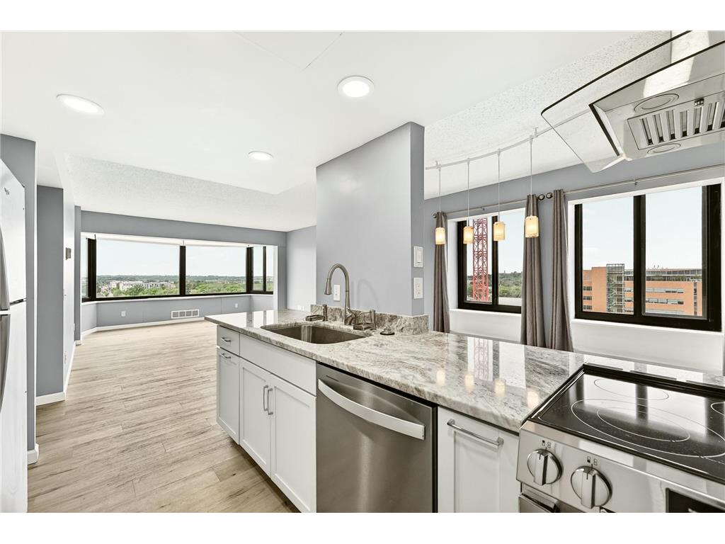 207 5th Avenue SW #1001 Rochester MN 55902 7074684 image12