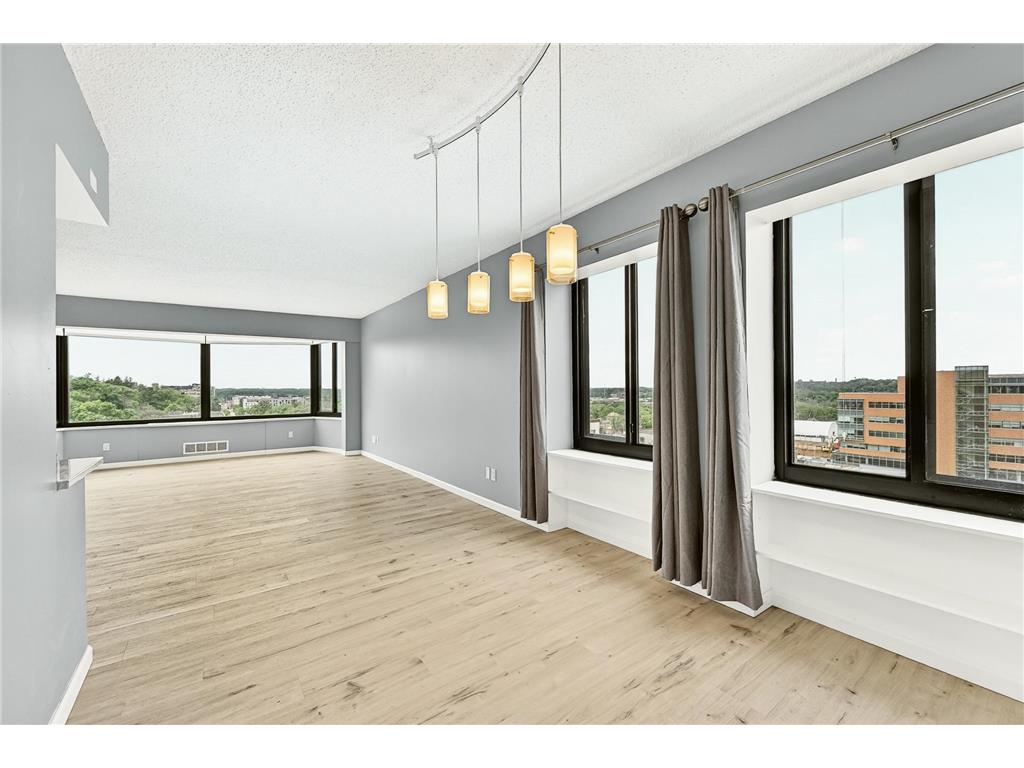 207 5th Avenue SW #1001 Rochester MN 55902 7074684 image14