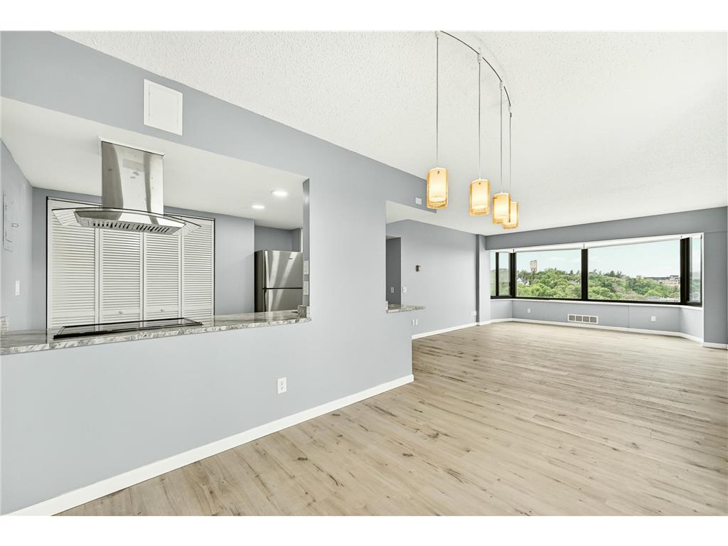 207 5th Avenue SW #1001 Rochester MN 55902 7074684 image15