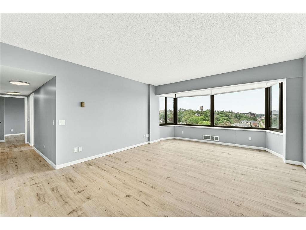 207 5th Avenue SW #1001 Rochester MN 55902 7074684 image16