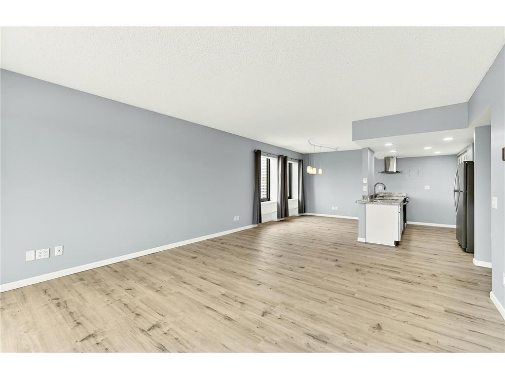207 5th Avenue SW #1001 Rochester MN 55902 7074684 image19