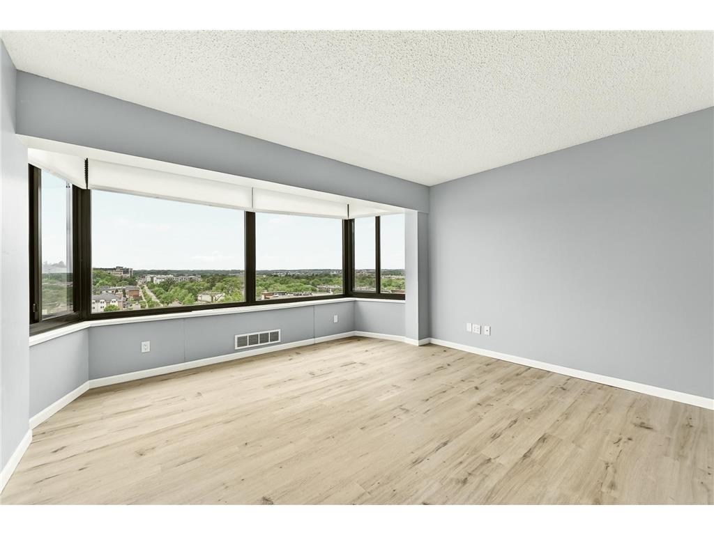 207 5th Avenue SW #1001 Rochester MN 55902 7074684 image20