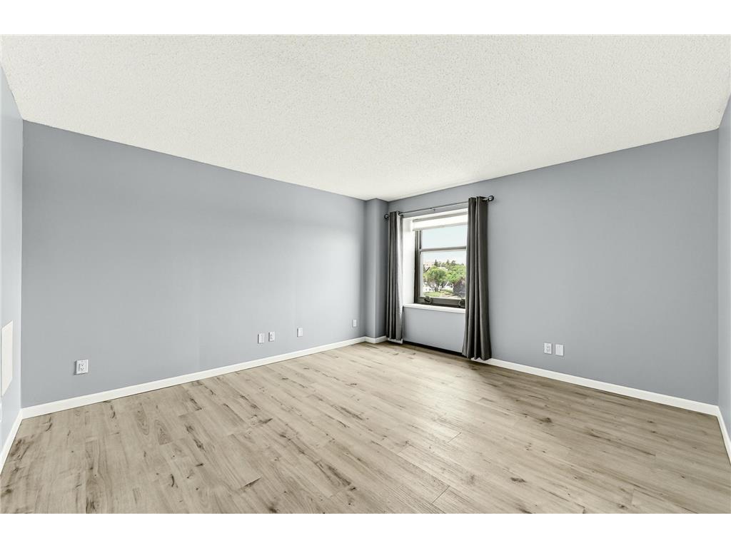 207 5th Avenue SW #1001 Rochester MN 55902 7074684 image24