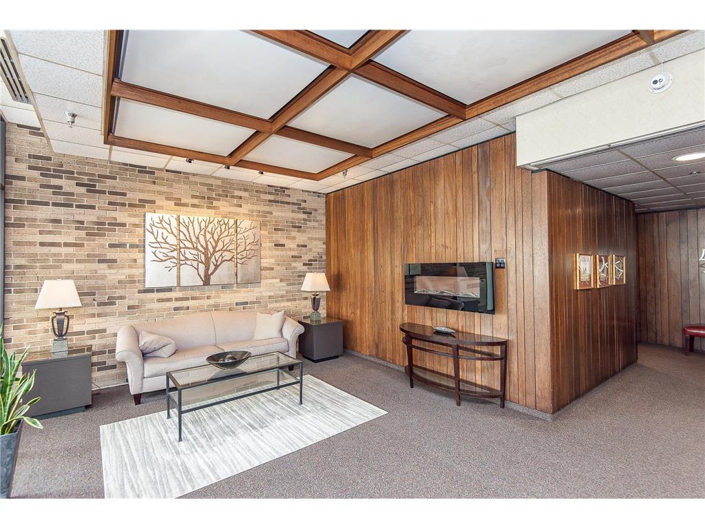 207 5th Avenue SW #1001 Rochester MN 55902 7074684 image27