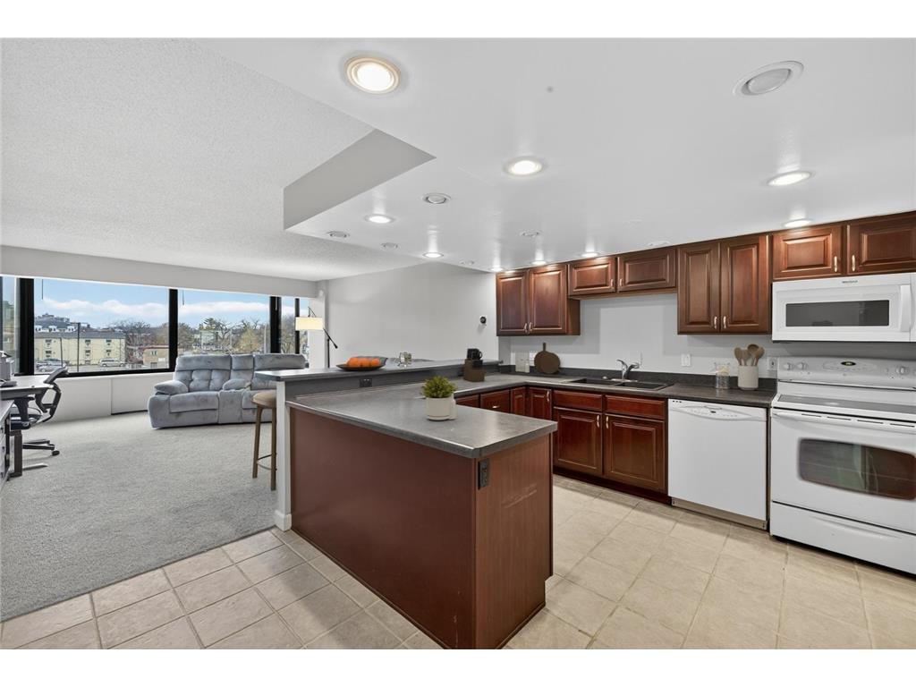 207 5th Avenue SW #202 Rochester MN 55902 6821983 image10