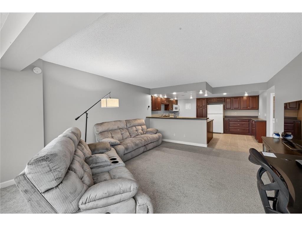 207 5th Avenue SW #202 Rochester MN 55902 6821983 image16