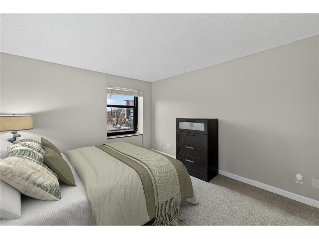 207 5th Avenue SW #202 Rochester MN 55902 6821983 image20