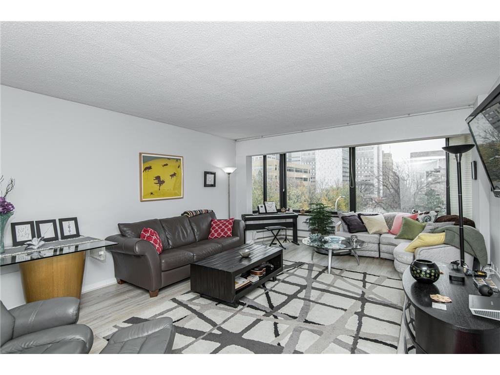 207 5th Avenue SW #208 Rochester MN 55902 6725707 image1