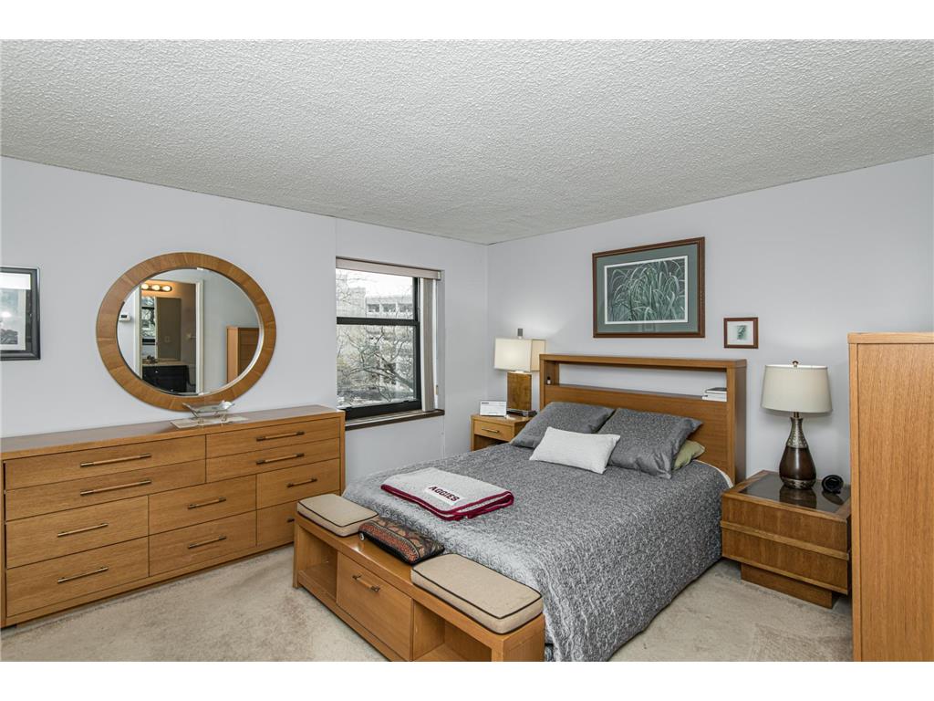 207 5th Avenue SW #208 Rochester MN 55902 6725707 image10