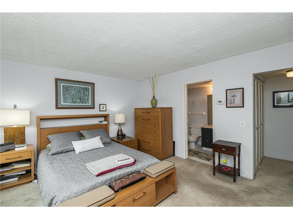 207 5th Avenue SW #208 Rochester MN 55902 6725707 image11