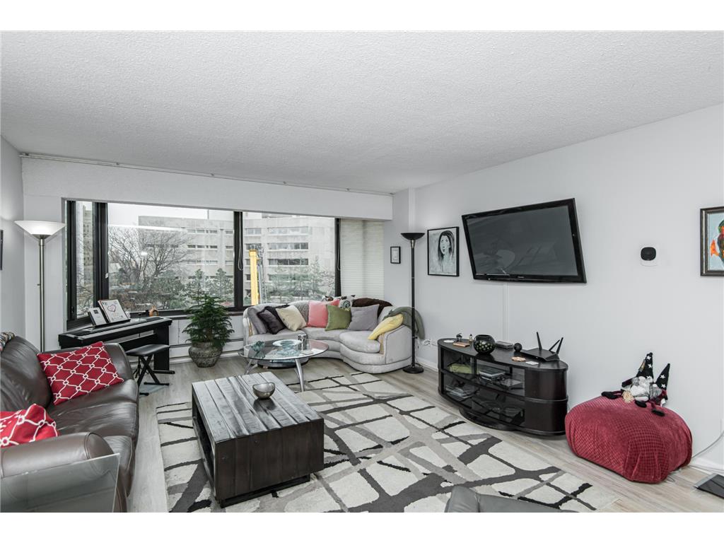 207 5th Avenue SW #208 Rochester MN 55902 6725707 image2