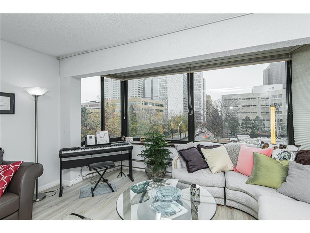 207 5th Avenue SW #208 Rochester MN 55902 6725707 image3