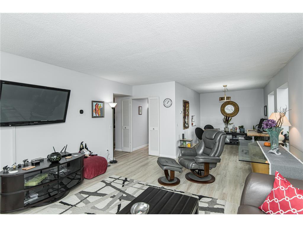 207 5th Avenue SW #208 Rochester MN 55902 6725707 image6