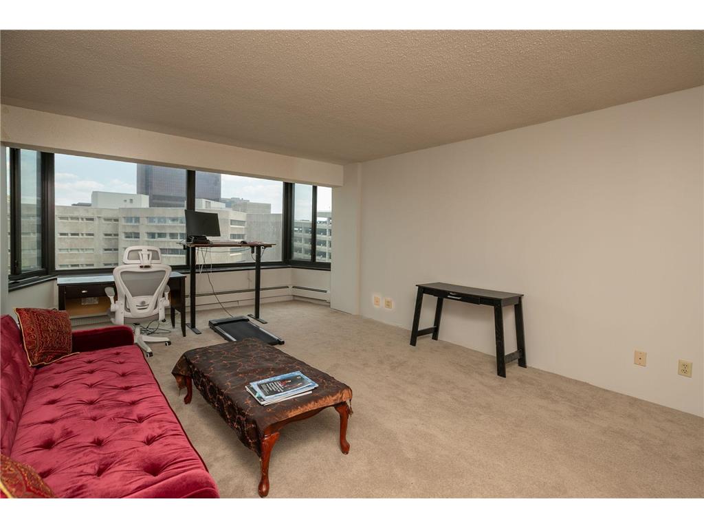 207 5th Avenue SW #407 Rochester MN 55902 6721076 image11