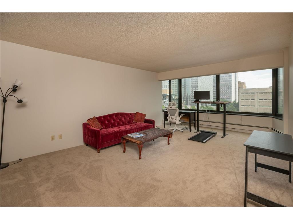 207 5th Avenue SW #407 Rochester MN 55902 6721076 image12