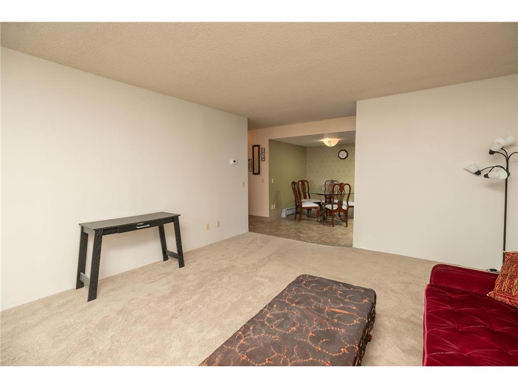 207 5th Avenue SW #407 Rochester MN 55902 6721076 image14