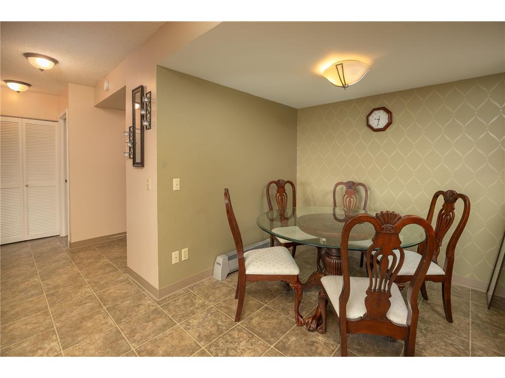 207 5th Avenue SW #407 Rochester MN 55902 6721076 image15